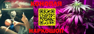 шишки Балаково