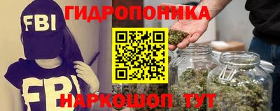 шишки Балаково