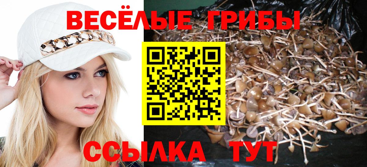 Псилоцибиновые грибы Cubensis Зеленокумск