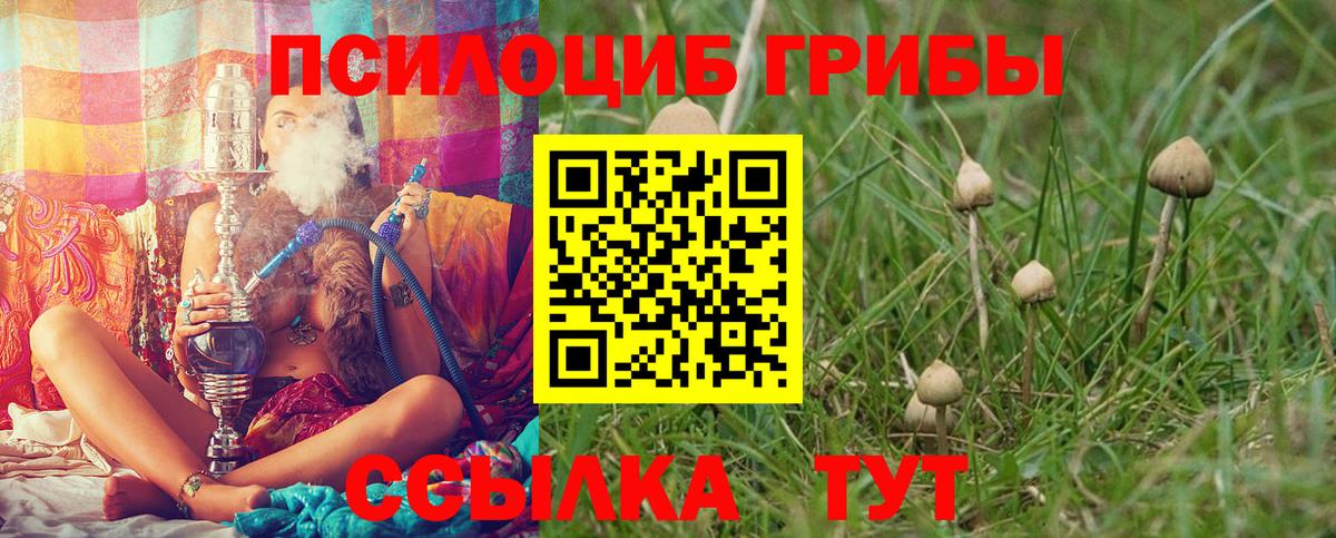Галлюциногенные грибы мухоморы  купить закладку  Вход с VPN  Зеленокумск  Псилоцибиновые грибы прущие грибы 